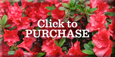400x200-PURCHASE-1-GardenTour