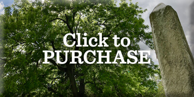 400x200-PURCHASE-2-TreeTour1